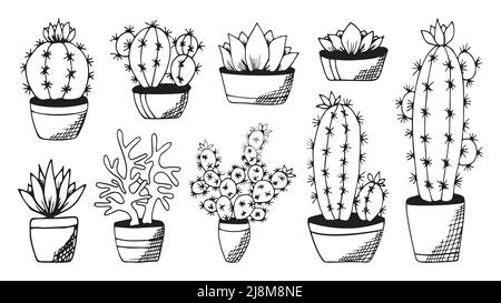 Cactus et succulent ensemble noir plat dessiné à la main. Pot de plantes et de fleurs. Echeveria monochrome crasula aloe vera. Design pour le magazine d'esquisse livre de carte web . Illustration vectorielle isolée sur blanc Illustration de Vecteur