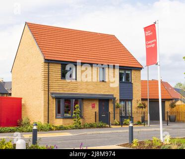 Taylor Wimpey Manford, exposition au centre d'habitation de Coopers Grange. Banque D'Images