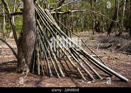 Copiping Sutton Heath Suffolk Angleterre Banque D'Images