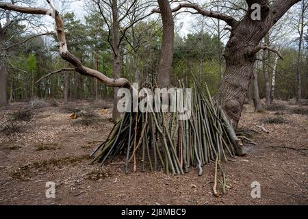 Copiping Sutton Heath Suffolk Angleterre Banque D'Images