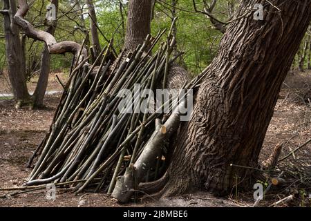 Copiping Sutton Heath Suffolk Angleterre Banque D'Images