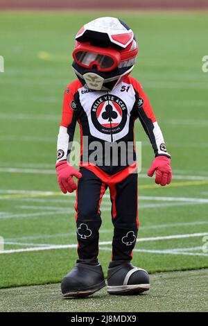 MANCHESTER, ROYAUME-UNI. 16th MAI Chase the Ace pendant le match de la SGB Premiership entre Belle vue Aces et King's Lynn Stars au National Speedway Stadium, Manchester, le lundi 16th mai 2022. (Credit: Eddie Garvey | MI News) Credit: MI News & Sport /Alay Live News Banque D'Images