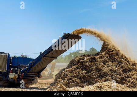 Déchiqueteuse industrielle un convoyeur de travail le déchiquetage des racines de la production de copeaux de bois Banque D'Images