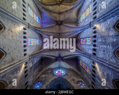 Plafond gothique voûté - Cathédrale Saint Mary de Gérone - Espagne Banque D'Images