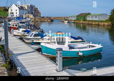 Des bateaux et des yachts colorés se sont amarrés au ponton sur Kinness Burn au port de St Andrews, dans le Royal Burgh of St Andrews à Fife, en Écosse, au Royaume-Uni Banque D'Images