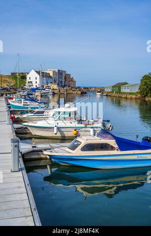 Des bateaux et des yachts colorés se sont amarrés au ponton sur Kinness Burn au port de St Andrews, dans le Royal Burgh of St Andrews à Fife, en Écosse, au Royaume-Uni Banque D'Images