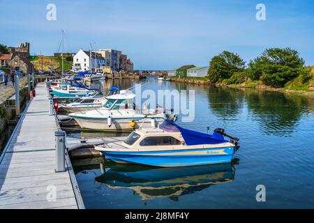 Des bateaux et des yachts colorés se sont amarrés au ponton sur Kinness Burn au port de St Andrews, dans le Royal Burgh of St Andrews à Fife, en Écosse, au Royaume-Uni Banque D'Images