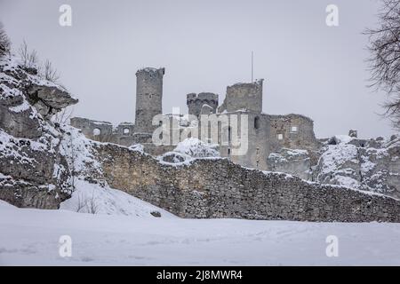 Château médiéval d'Ogrodzieniec dans le village de Podzamcze, dans la région du Jura polonais de Pologne, qui fait partie du sentier des nids des Aigles Banque D'Images