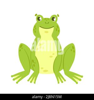 Grenouille verte en position assise. Faune aquatique sauvage, illustration de vecteur amphibien d'eau Illustration de Vecteur