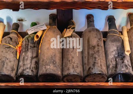 Ancienne collection de vins à Queens Winery House dans le parc architectural Palace et le complexe de jardins botaniques dans la ville côtière de Balchik en Bulgarie Banque D'Images