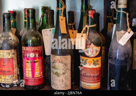 Ancienne collection de vins à Queens Winery House dans le parc architectural Palace et le complexe de jardins botaniques dans la ville côtière de Balchik en Bulgarie Banque D'Images