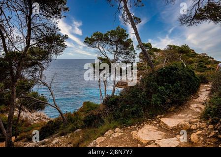 Sentier rocheux au milieu des plantes sur la falaise par mer contre le ciel bleu Banque D'Images