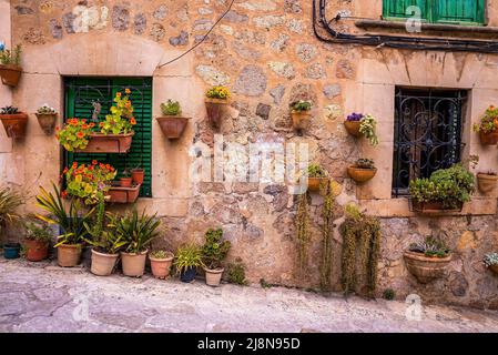 Plantes en pots décorées avec des fenêtres fermées de la vieille maison dans la ville historique Banque D'Images