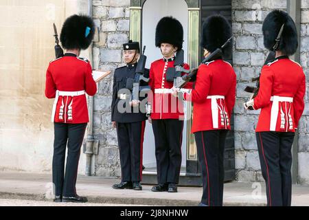 Les gardes irlandais prennent en charge les fonctions de garde cérémonielles au château de Windsor à partir des Gurkha alors que les gardes irlandais se préparent à recevoir leurs nouvelles couleurs régimentaires du duc de Cambridge lors d'une cérémonie. Date de la photo: Mardi 17 mai 2022. Banque D'Images