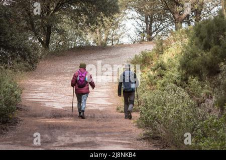 Randonneurs avec sacs à dos marchant sur un chemin forestier, Mijas, Andalousie, Espagne. Banque D'Images