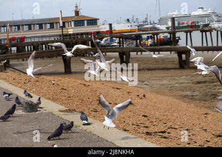 Gravesend Pier Banque D'Images