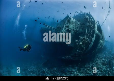 Plongeurs explorant l'épave "Cedar Pride" dans la Mer Rouge de Jordanie Banque D'Images