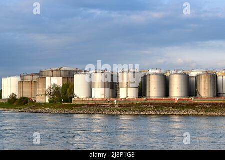 Mannheim, Allemagne - avril 2022 : rangées de réservoirs de stockage de pétrole sur les rives du Rhin près de Mannheim Banque D'Images