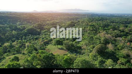 Vallée verte au Nicaragua Managua avec volcan au coucher du soleil Banque D'Images