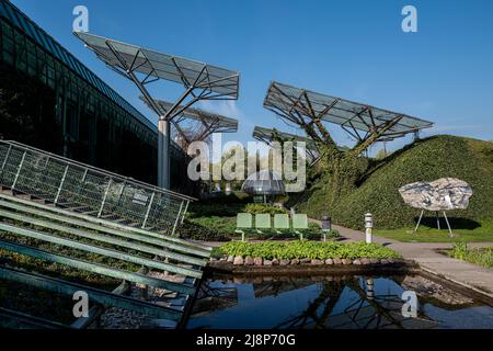 Varsovie, Pologne- 05.01.2022: Jardins sur le toit de la bibliothèque de l'Université. Banque D'Images