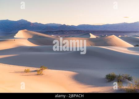 Lever du soleil au-dessus des dunes de sable de Mesquite Flats dans le parc national de la Vallée de la mort au lever du soleil Banque D'Images