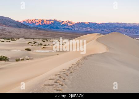 Sentier de pas le long des dunes de sable à Mesquite Flats dans le parc national de la Vallée de la mort au lever du soleil Banque D'Images