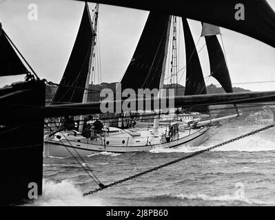 AJAXNETPHOTO. 16TH SEPTEMBRE 1977. SOLENT, ANGLETERRE. - ANCIENNE COURSE GAFFERS - LE YACHT VENUS CONÇU ET CONSTRUIT PAR PAUL ERLING JOHNSON DANS LES TEMPS LOURDS PENDANT LA COURSE ANNUELLE DE SOLENT. PLUS TARD, YACHT A ÉTÉ PERDU AU LARGE DE LA CÔTE NORD DE L'AUSTRALIE.PHOTO:JONATHAN EASTLAND/AJAX REF:771609 55 Banque D'Images