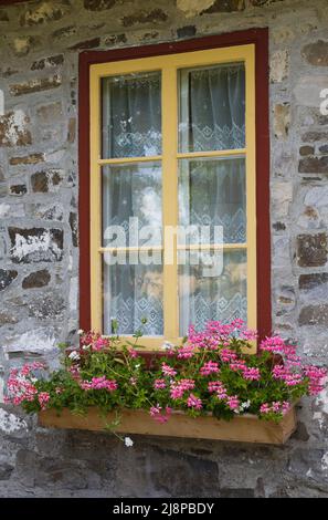 Gros plan d'une ancienne fenêtre en verre avec une boîte à fleurs sur l'ancienne maison en pierre de style chalet de régime français vers 1794. Banque D'Images