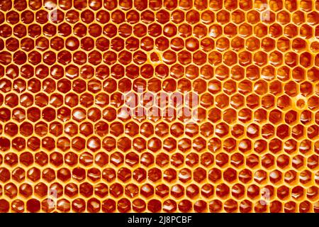 fond ou texture de peigne de miel naturel. Banque D'Images