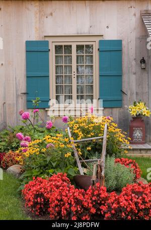 Cour avant de l'ancienne maison de 1722 avec Begonias rouge, jaune doré Rudbeckia 'Black-Eyed Susan' - Coneflowers, Dahlias rose et labourer manuel en été. Banque D'Images