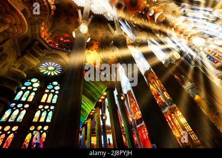 Vue intérieure du plafond voûté, Sagrada Familia par Antoni Gaudi, Barcelone, Catalogne, Espagne Banque D'Images