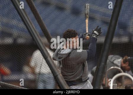 Saint-Pétersbourg, Floride. États-Unis; Detroit Tigers a désigné l'hitter Miguel Cabrera (24) lors de la pratique de la batte avant un match de base-ball de ligue majeure contre t Banque D'Images