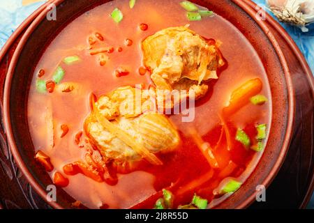 Borscht, soupe appétissante à base de betteraves et de viande. Borscht ukrainien rouge ou bouillon. Gros plan Banque D'Images