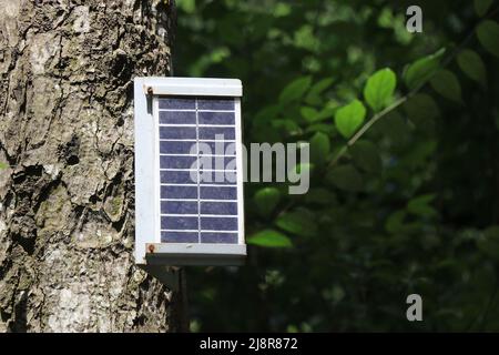 Gadget solaire attaché à un arbre sur fond de nature, dispositif utilisant l'énergie solaire pour alimenter certains dispositifs montrant le concept de l'énergie propre Banque D'Images