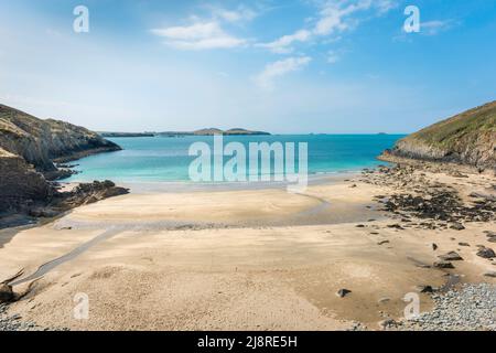 Beach Wales, vue en été de Porthmelgan Beach, une crique de sable pittoresque sur la côte de Pembrokeshire, pays de Galles Banque D'Images