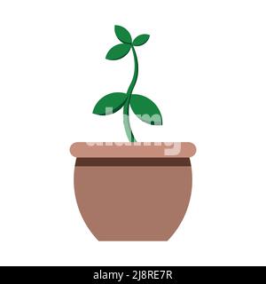 Feuille ou feuilles de pot de plante d'arbre Illustration de Vecteur