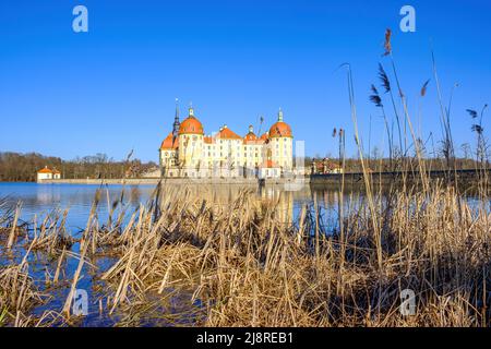 Vue pittoresque depuis le sud du palais de Moritzburg à Moritzburg près de Dresde, Saxe, Allemagne. Banque D'Images