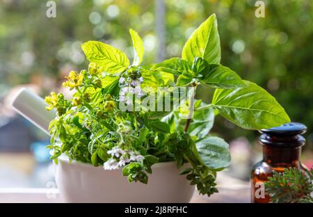 Herbes fraîches dans un mortier, la médecine de fines herbes, la guérison alternative. Feuilles aromatiques à la menthe, au romarin, au basilic et au thym, vue rapprochée. Nature médicale et guérir Banque D'Images