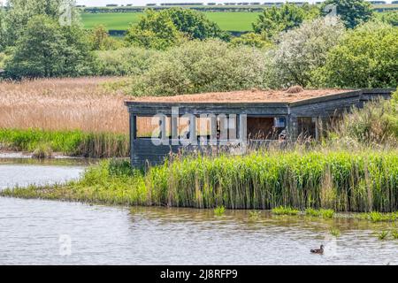 L'île se cache face au marais d'eau douce du marais de Pitchwell de la RSPB, sur la côte nord de Norfolk. Banque D'Images