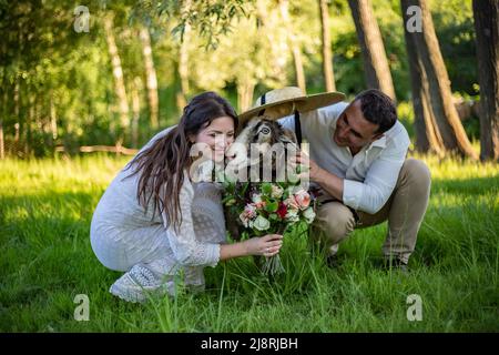 Marié dans un costume élégant et mariée dans une belle robe vintage, couple marié marchant dans le champ au coucher du soleil le jour de leur mariage. Embrasser, avoir du fu Banque D'Images