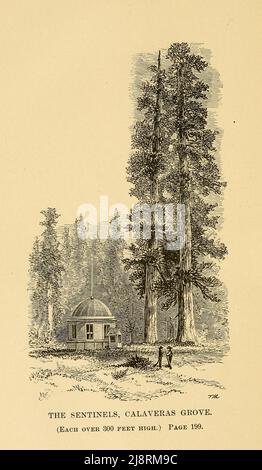 Les Sentinels, Calaveras Grove du livre ' Two Years in California ' par Mary Cone, éditeur de Chicago, S.C. Griggs et société 1876 Une résidente de Marietta, Ohio, Mary Cone a passé deux ans en Californie en 1870s. Deux ans en Californie (1876) est plus un guide qu'un récit de première personne de ses expériences en Occident. Elle traite de l'histoire, du climat, de l'agriculture et de la géographie de l'État avant de se tourner vers ses régions : le sud de la Californie (San Diego, Los Angeles, Santa Barbara), les vallées de Sacramento et de San Joaqun (avec des chapitres sur les ranchs individuels de Sacramento), le nord de la Californie Banque D'Images