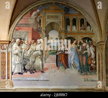 Storie di San Benedetto - Fiorenzo manda le meretrici al convento - affresco - Antonio Bazzi detto il Sodoma - 1505 - Monte Oliveto Maggiore (si) , Banque D'Images