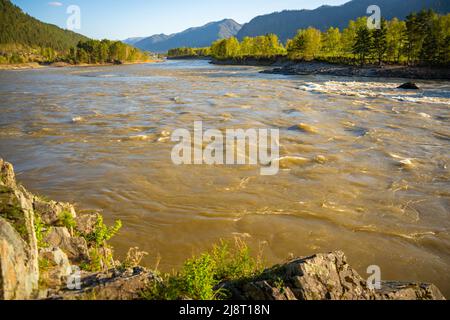 Le paysage de l'Altay avec la rivière de montagne Katun et des roches vertes au printemps, Sibérie, République de l'Altaï Banque D'Images