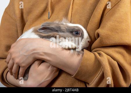 Une jeune femme porte un joli lapin moelleux dans ses bras. Le lapin effrayé s'accroché aux mains de la maîtresse. Amitié avec le lapin de Pâques. Banque D'Images