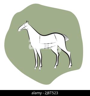 Silhouette noire et blanche de l'étalon sur fond vert. Dessin manuel avec direction isolée. Élégant cheval debout gracieux. mustang à selles. Sym. Cheval Illustration de Vecteur