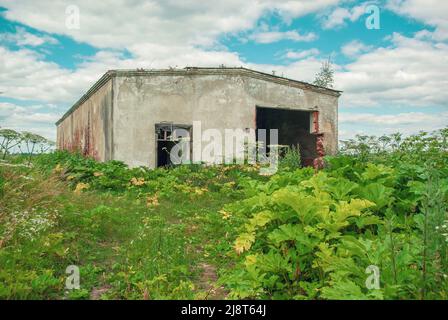 La maison de garage abandonnée se trouve au milieu d'un champ surcultivé avec des mauvaises herbes Banque D'Images