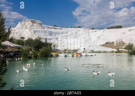 Le lac rempli de gooses près de Pamukkale, ce qui signifie « château de coton » en turc Banque D'Images