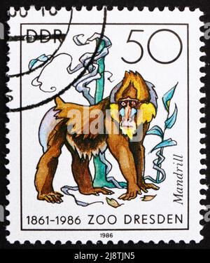 GDR - VERS 1986: Un timbre imprimé en GDR montre Mandrill Monkey, Mandrillus Sphinx, 125th anniversaire du ZOO de Dresde, vers 1986 Banque D'Images