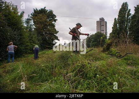 Londres, 23/08/2017: Volontaires de 'The Friends of Tower Hamlets Cemetery Park' nettoyage de la zone. © Andrea Sabbadini Banque D'Images