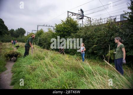 Londres, 23/08/2017: Volontaires de 'The Friends of Tower Hamlets Cemetery Park' nettoyage de la zone. © Andrea Sabbadini Banque D'Images